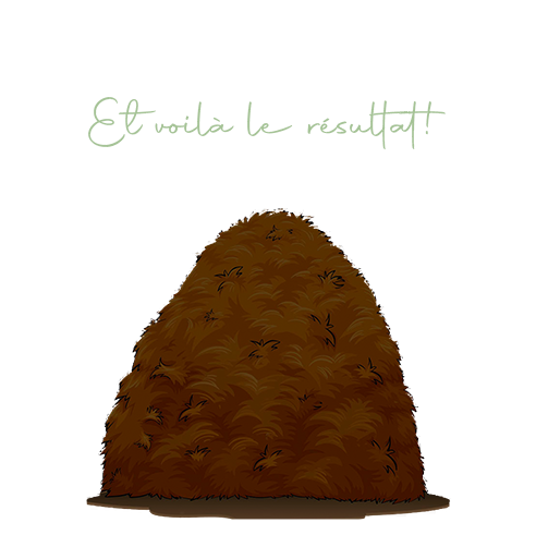 iso-potager-compost 18 jours