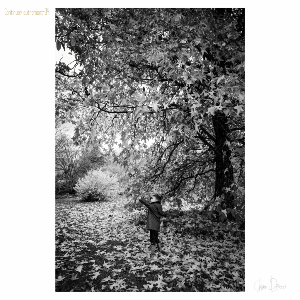 03-Petite parenthèse ensoleillée