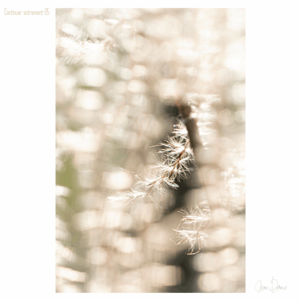 05- Quand le jardin-forêt respire